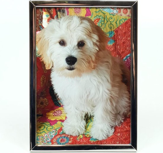AL - Fotolijst - Zilver - Strak - 15 x 20 cm