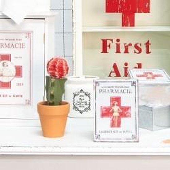 Clayre & Eef Medicijnkastje 24*13*30 cm Wit Hout Rechthoek Pharmacie Badkamerkast Hangend
