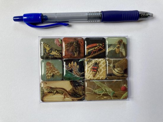 Mauritshuis Museum Gifts - Mini Magneetset - Griezelige Kruipers